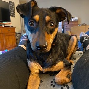 Meet your Posher, Catherine